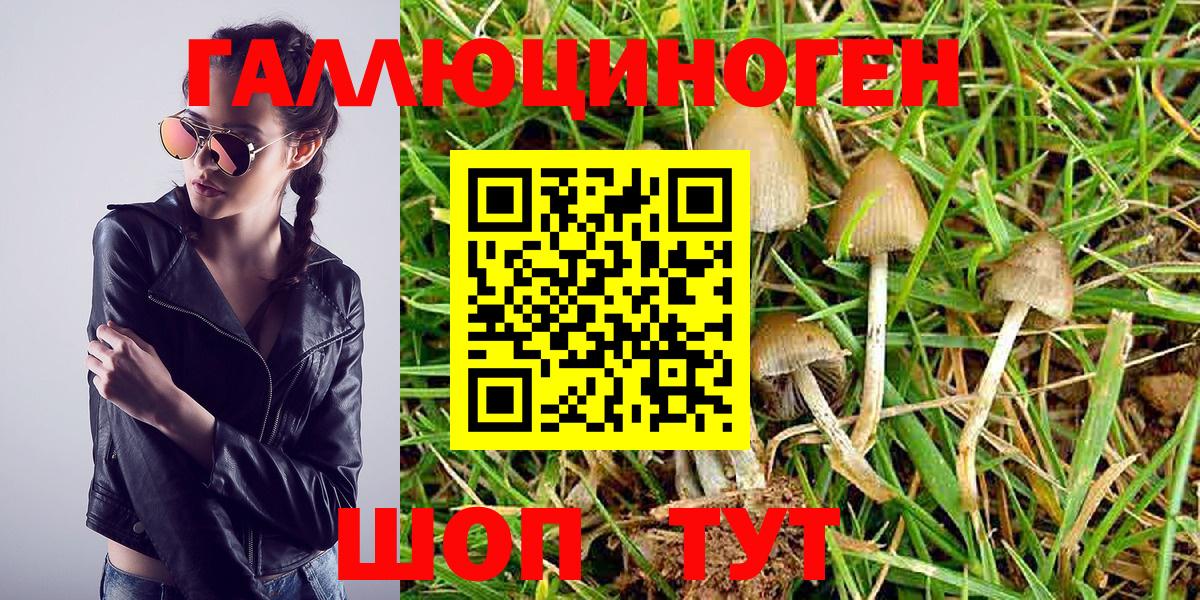 Анапа  Псилоцибиновые грибы Magic Shrooms  Вход с VPN 